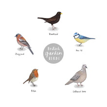 British Garden Birds Detective Poster - size A3