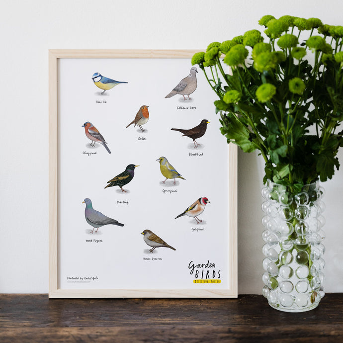 British Garden Birds Detective Poster - size A3