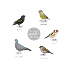 British Garden Birds Detective Poster - size A3